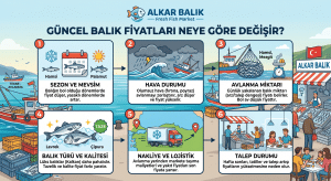 Güncel Balık Fiyatları Neye Göre Değişir?