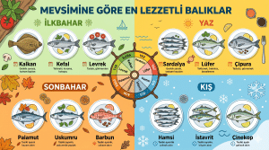 Mevsimine Göre En Lezzetli Balık Hangisi?